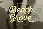 Beach Grove